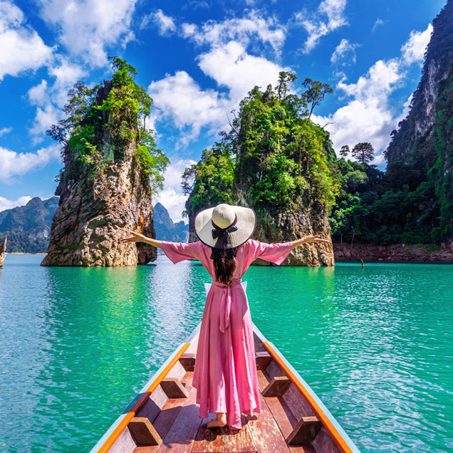 Domestic & International Holiday